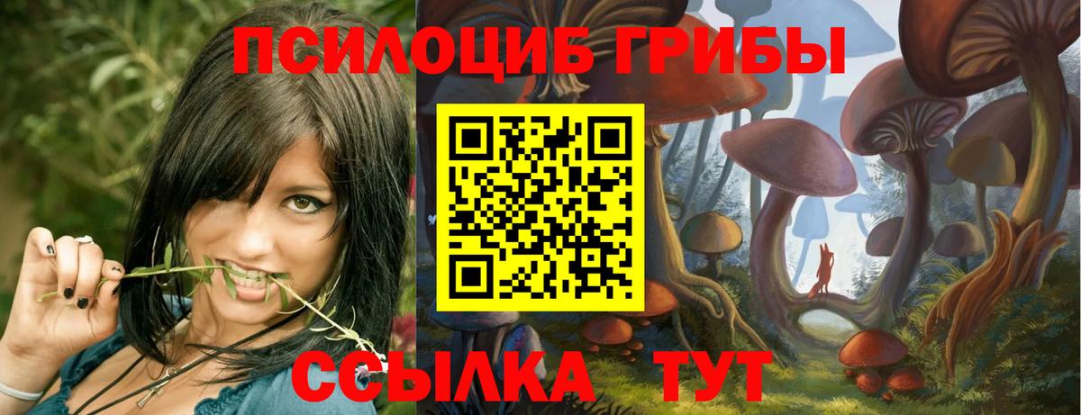Псилоцибиновые грибы Psilocybine cubensis  Галлюциногенные грибы прущие грибы  Вход с VPN  купить закладку  Воткинск 